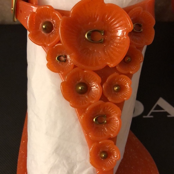 NIB Coach tea rose jelly sandals - Picture 2 of 6